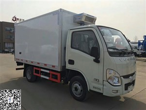 國五躍進小福星冷藏車